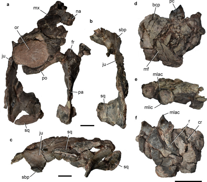 Figure 6