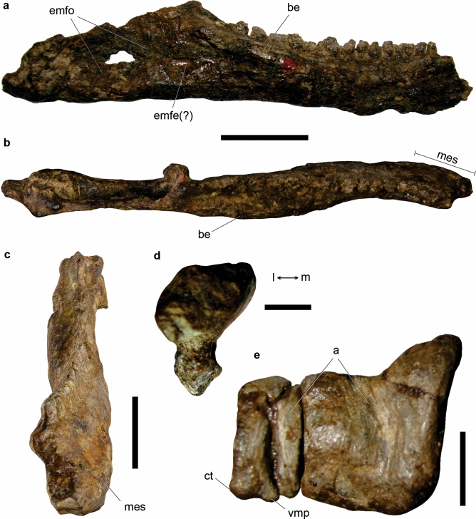 Figure 13