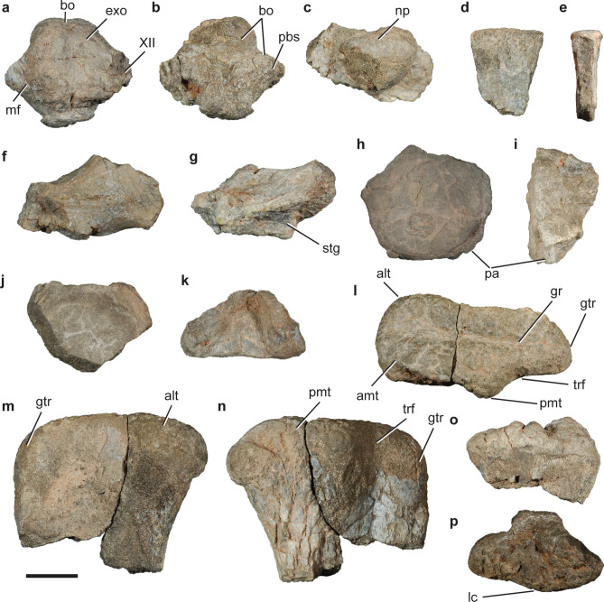 Figure 10