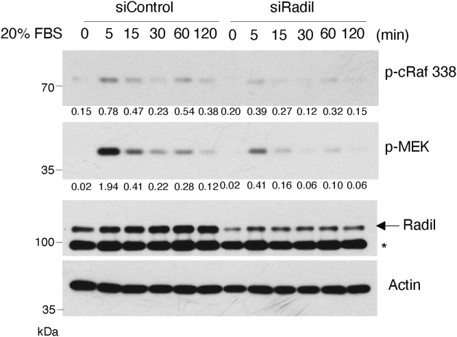 Figure 5