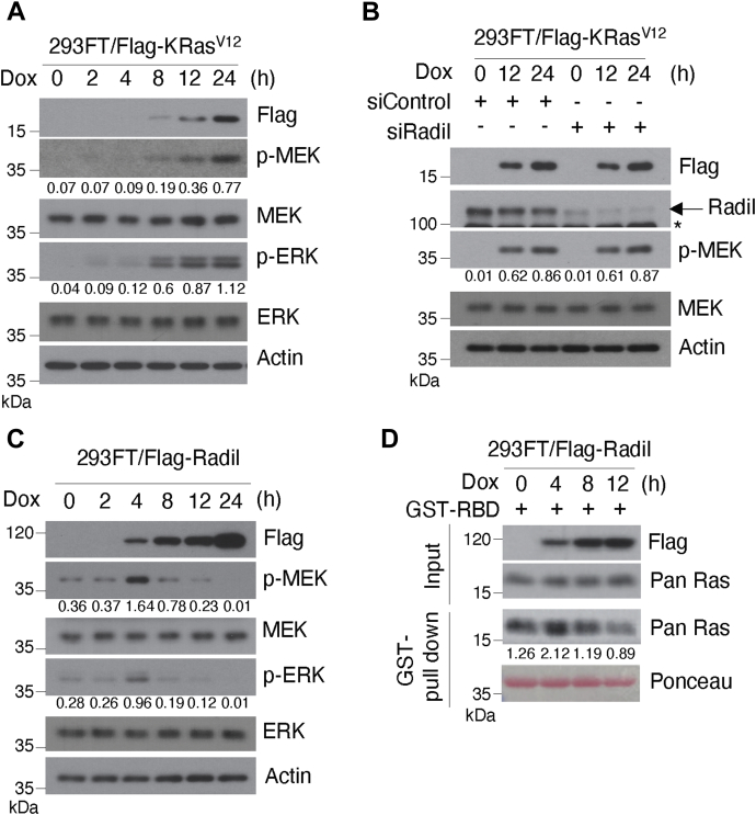 Figure 4