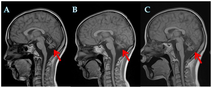 Figure 3.