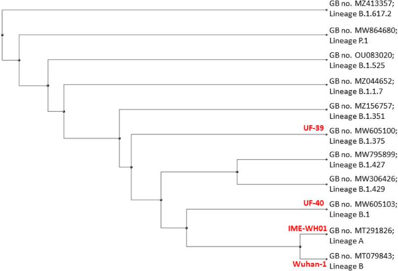 Fig. 3