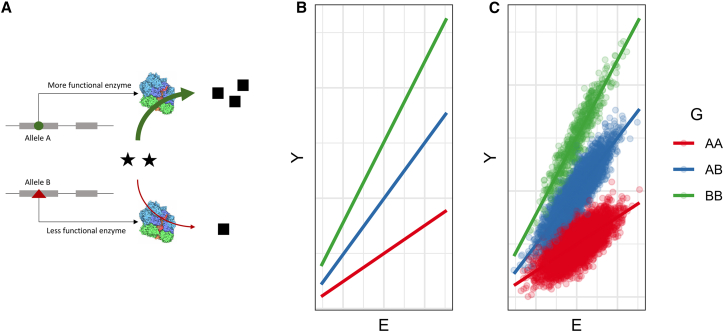 Figure 1