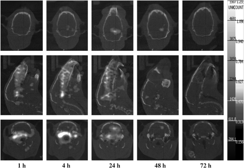 FIG. 5.