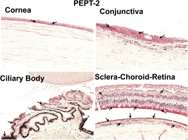 Fig. 4.