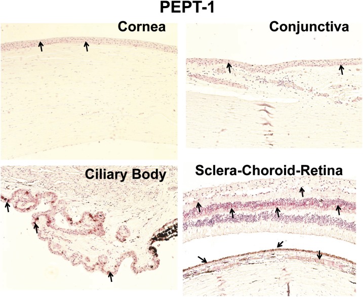 Fig. 3.