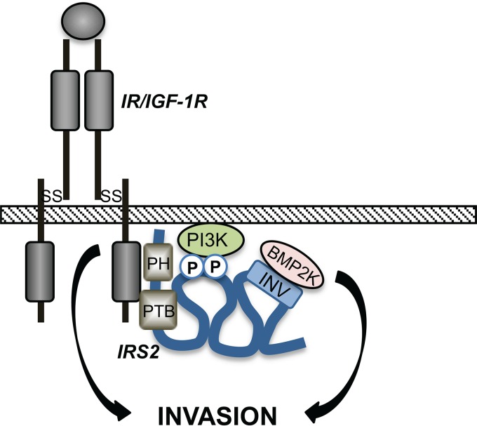 FIG 7