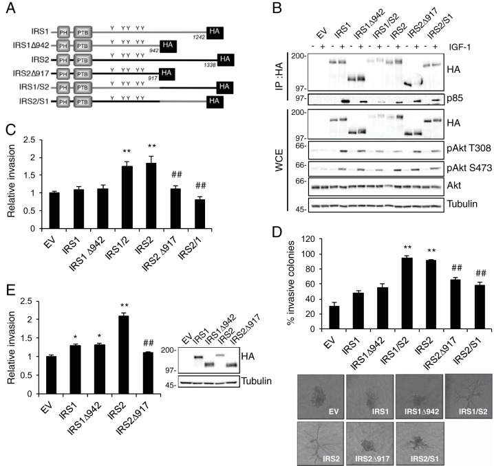 FIG 2