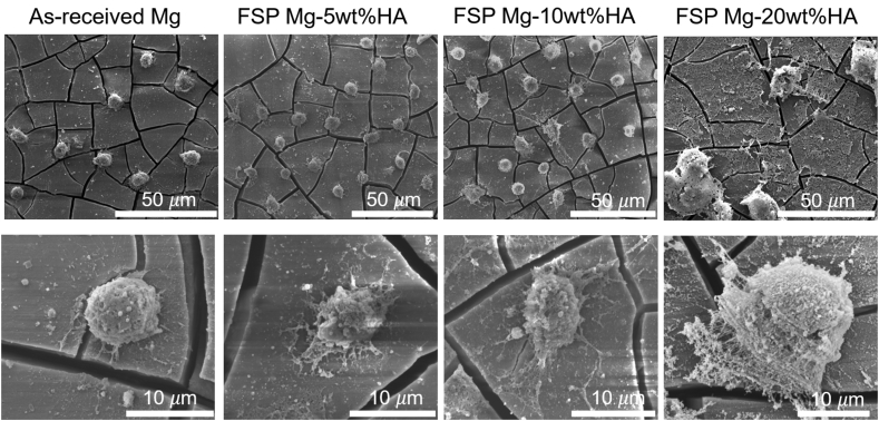 Fig. 10