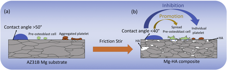 Fig. 12