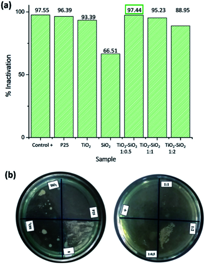 Fig. 8