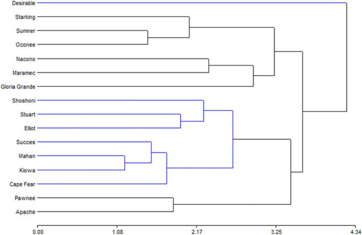 FIGURE 3