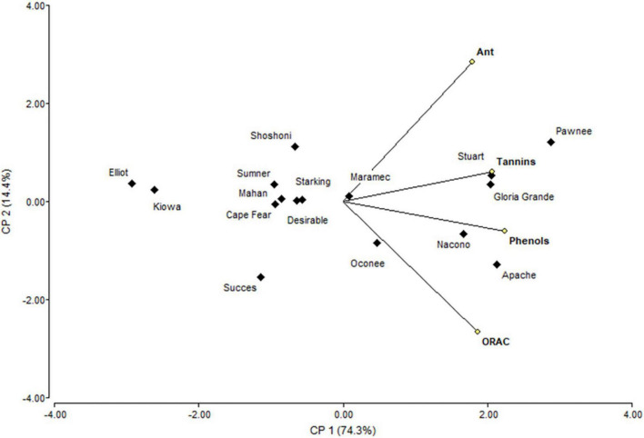 FIGURE 4