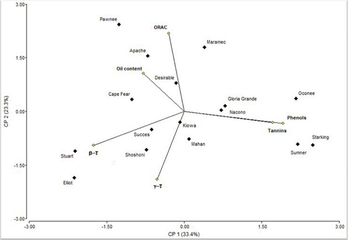 FIGURE 2