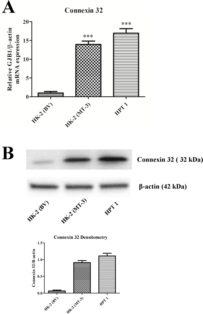 Fig 8