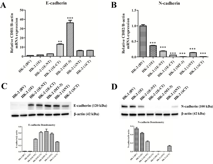 Fig 10