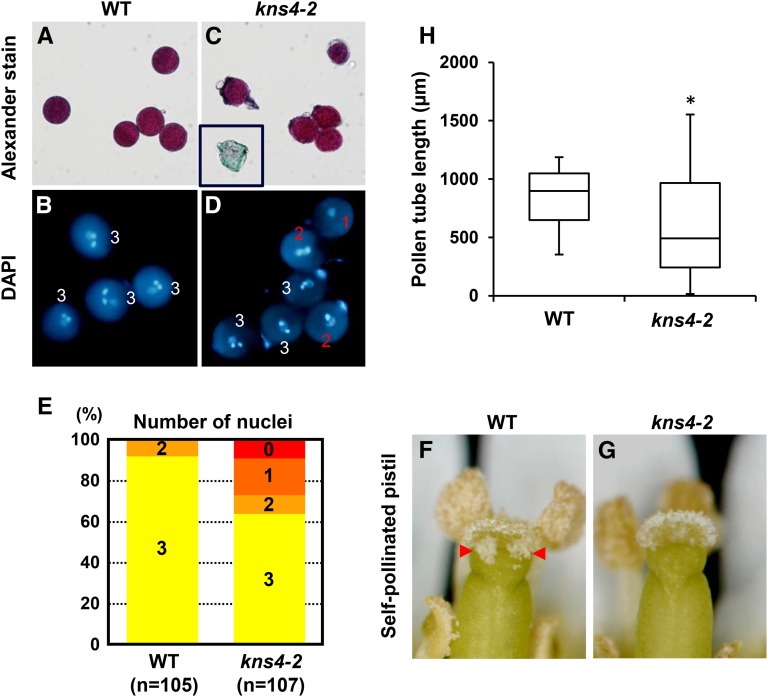 Figure 12.