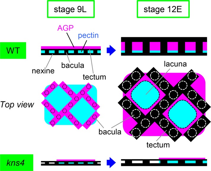 Figure 13.