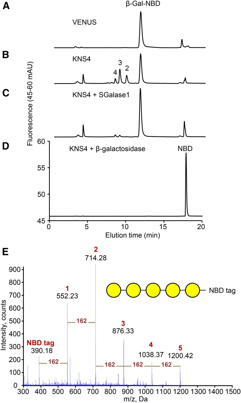 Figure 5.