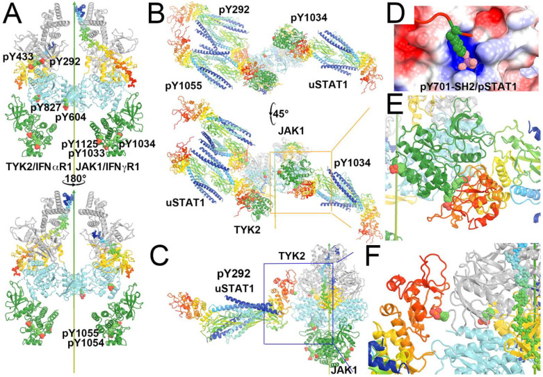 Figure 12.