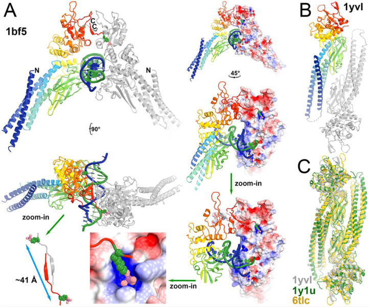 Figure 11.