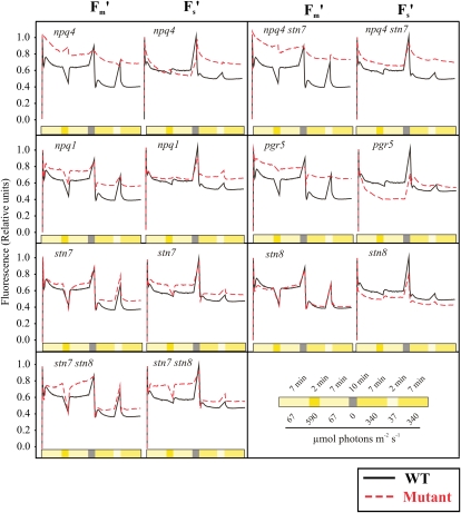 Figure 4.