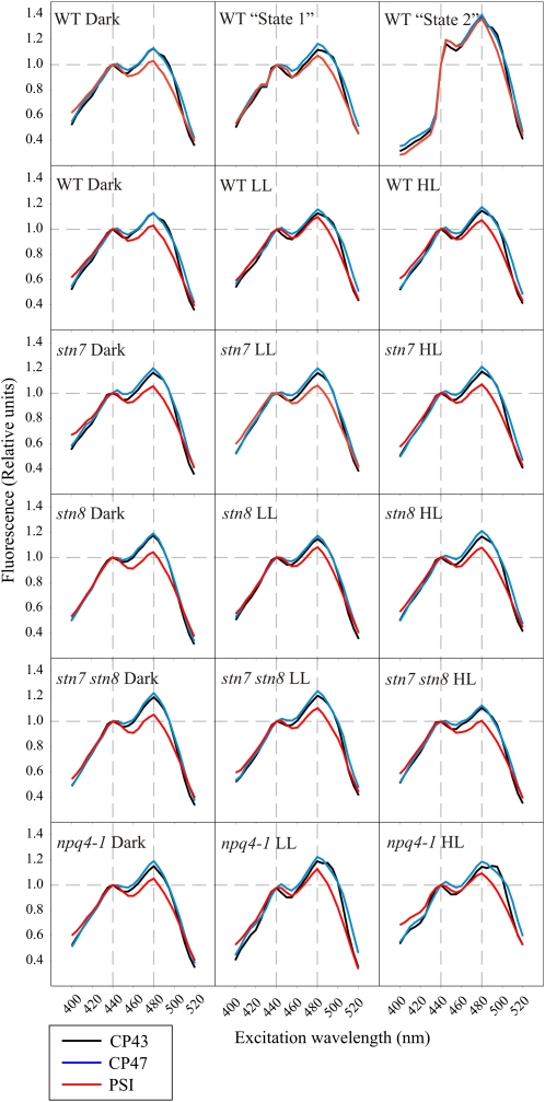 Figure 3.