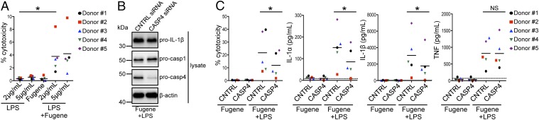 Fig. 4.