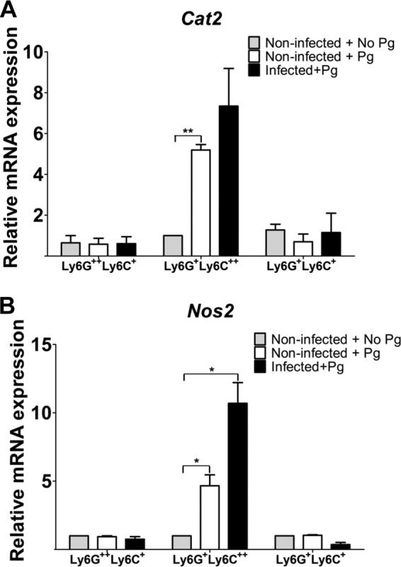 FIG 6