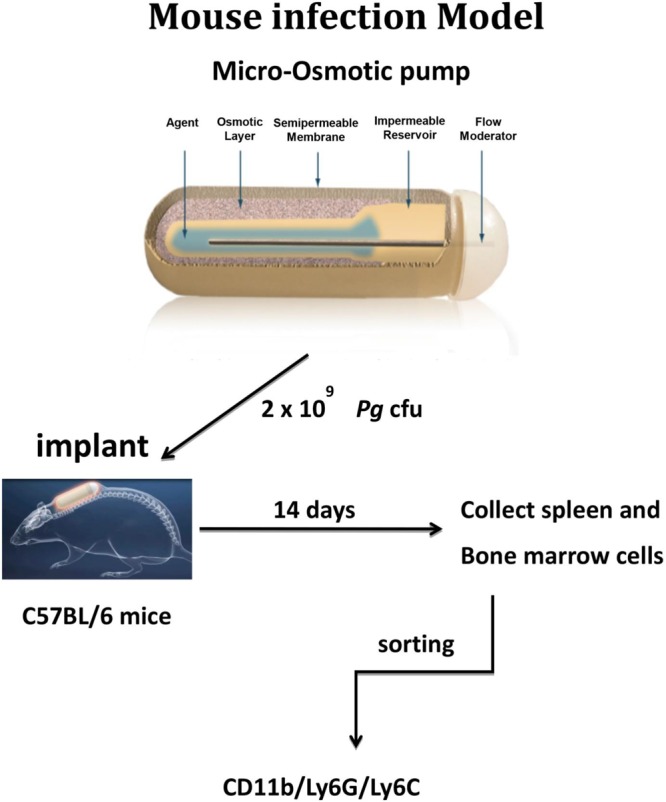 FIG 1