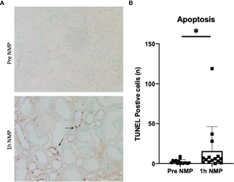 Figure 6