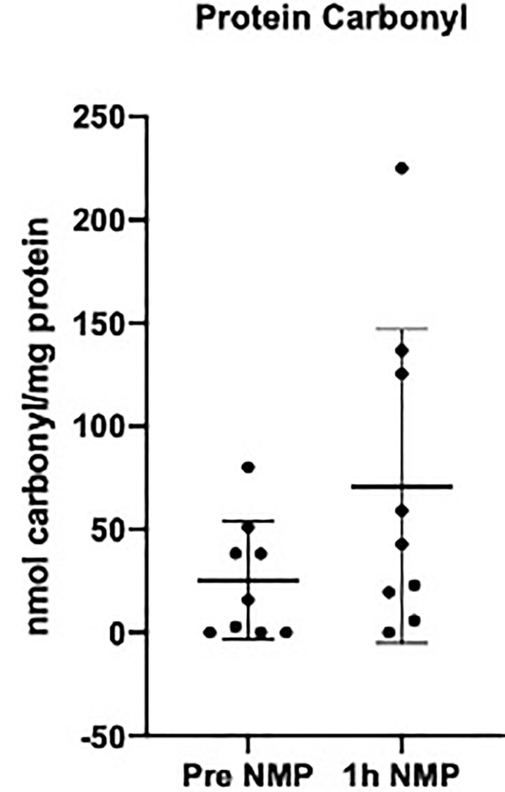 Figure 5