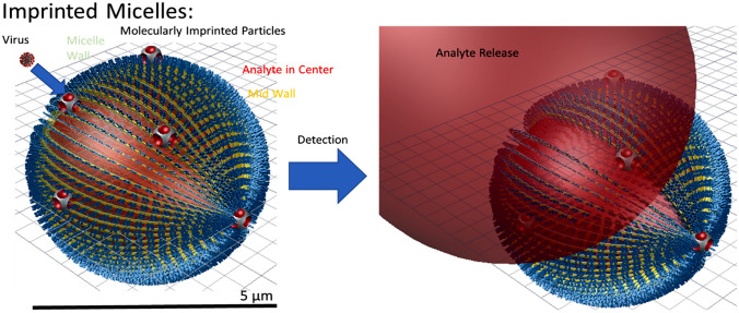 graphic file with name 43579_2022_242_Figa_HTML.jpg