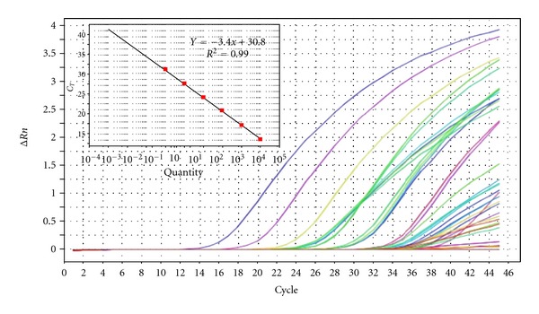 Figure 2