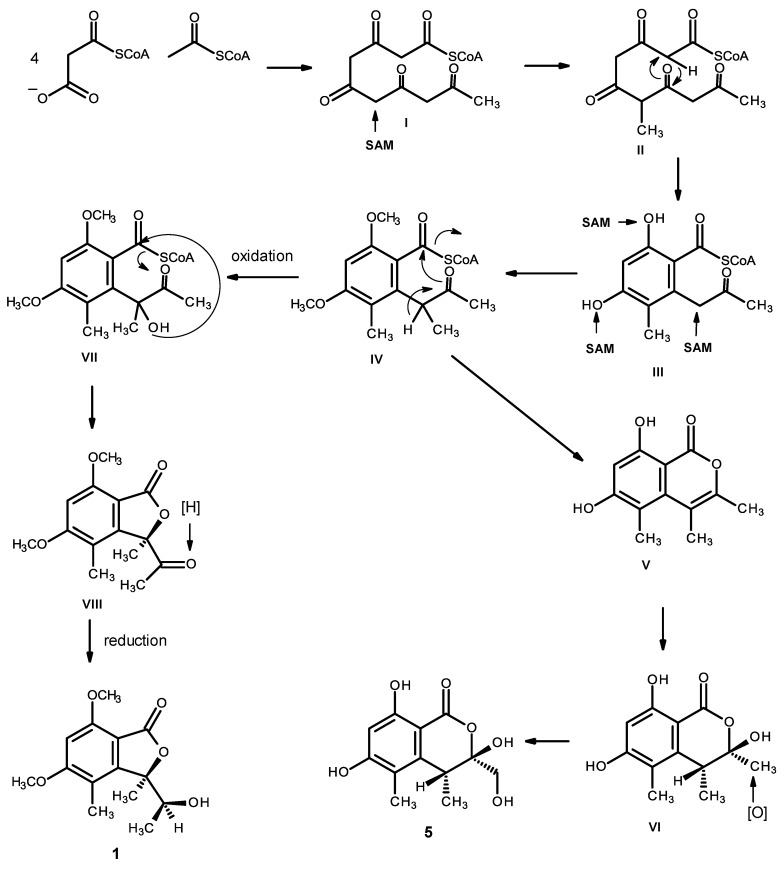 Figure 18