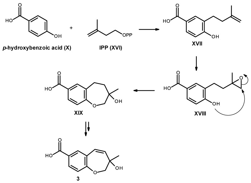 Figure 20