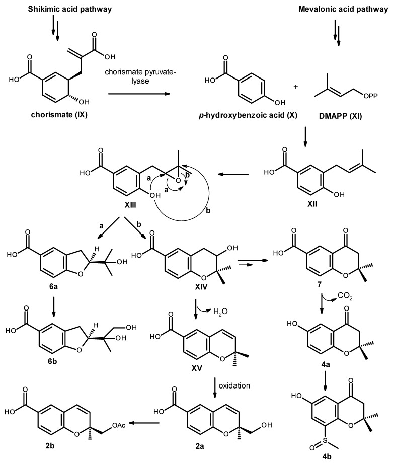 Figure 19