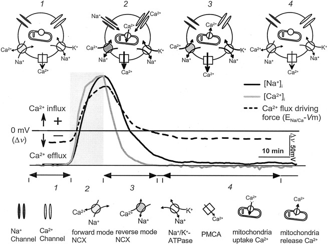 Fig. 8.