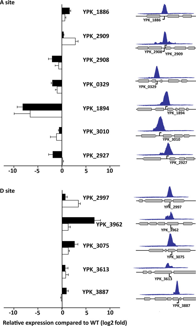 FIG 4