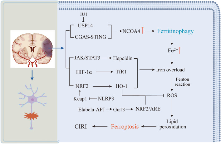 Fig. 3