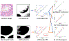 Fig. 4: