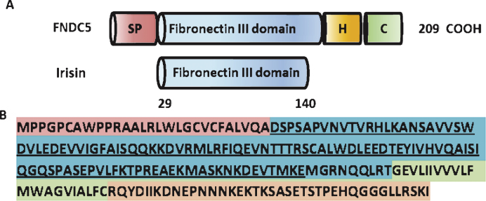 Fig.1