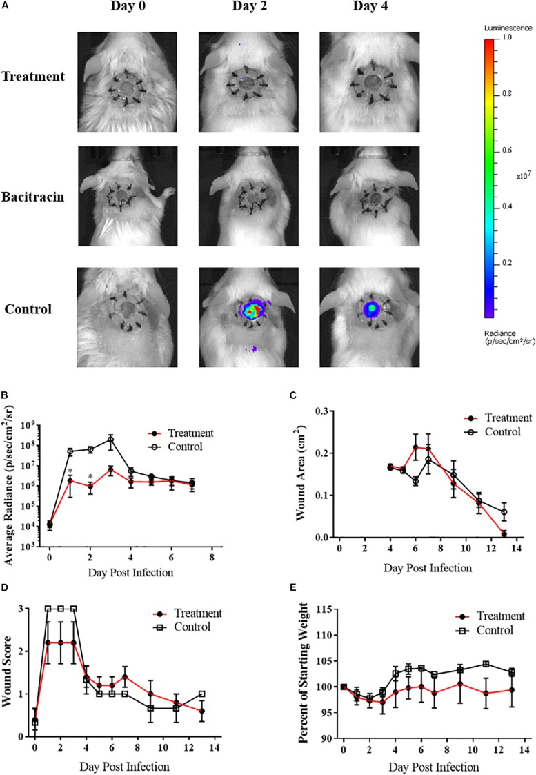 FIGURE 3