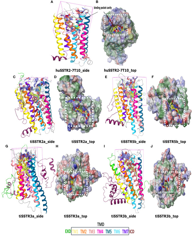 Figure 6