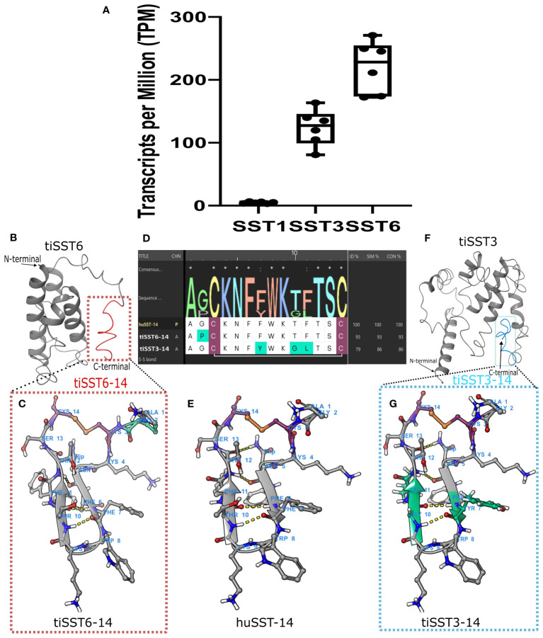 Figure 5