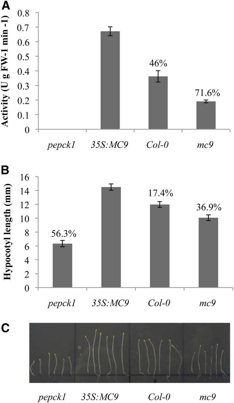 Figure 6.