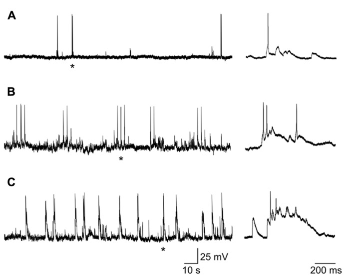 FIGURE 6