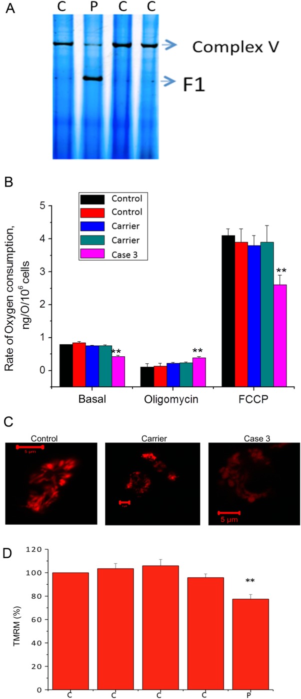 Figure 4