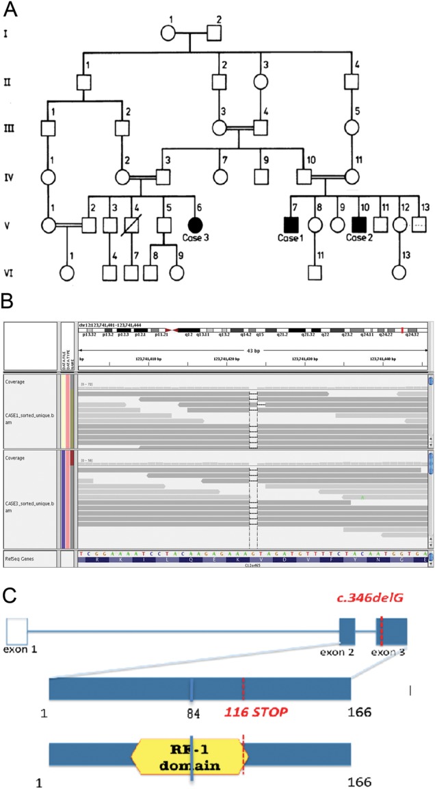 Figure 1